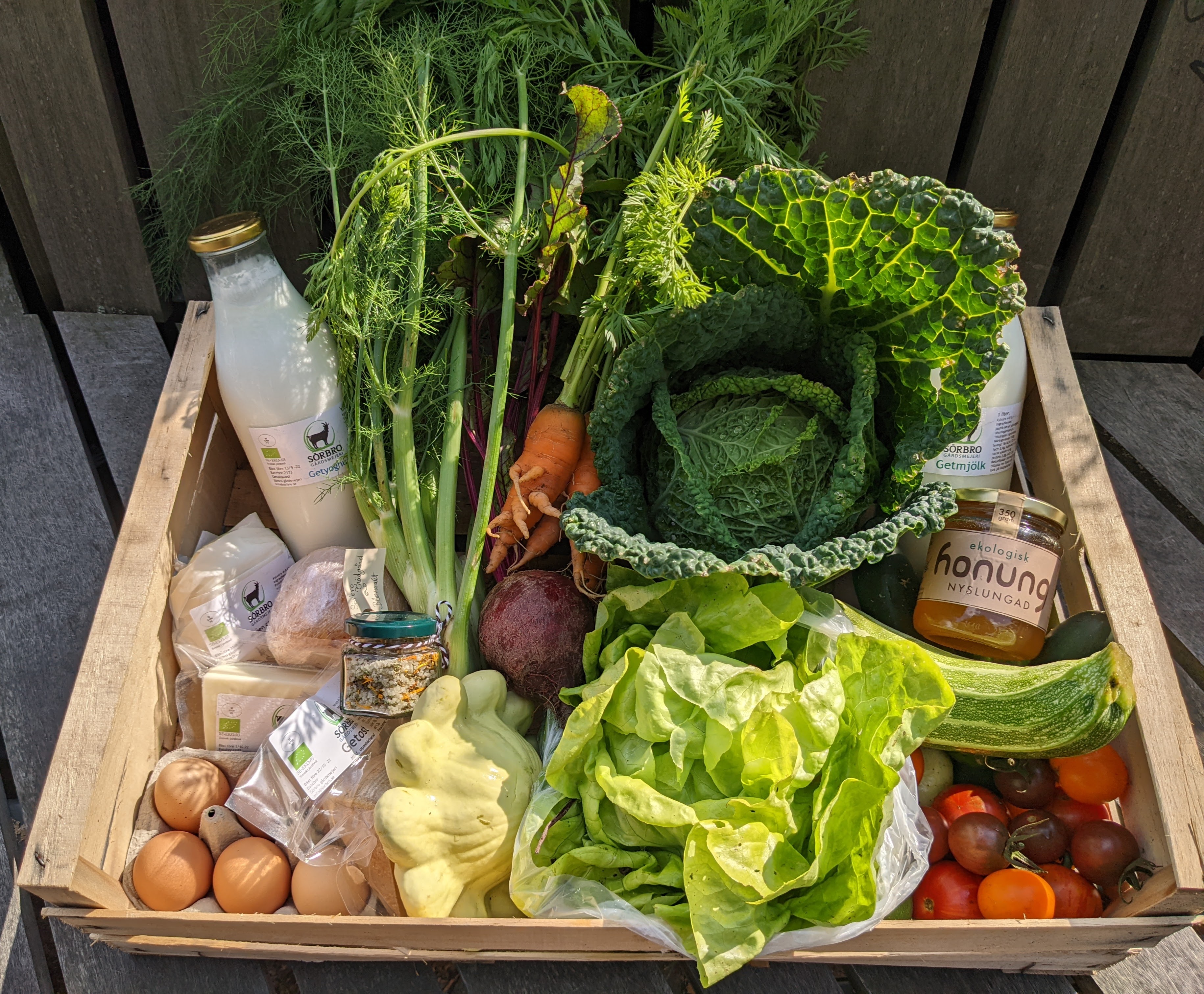 PXL_20220827_092742351